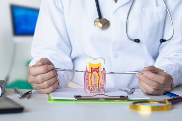 Best Holiday Emergency Dentist in Almont, MI